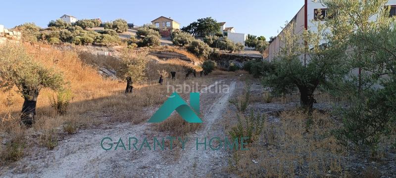 Foto e7dfc9fd-6157-4448-9248-61600cdb4a34. Terreno residencial se vende parcela en los llanos de don juan en Rute