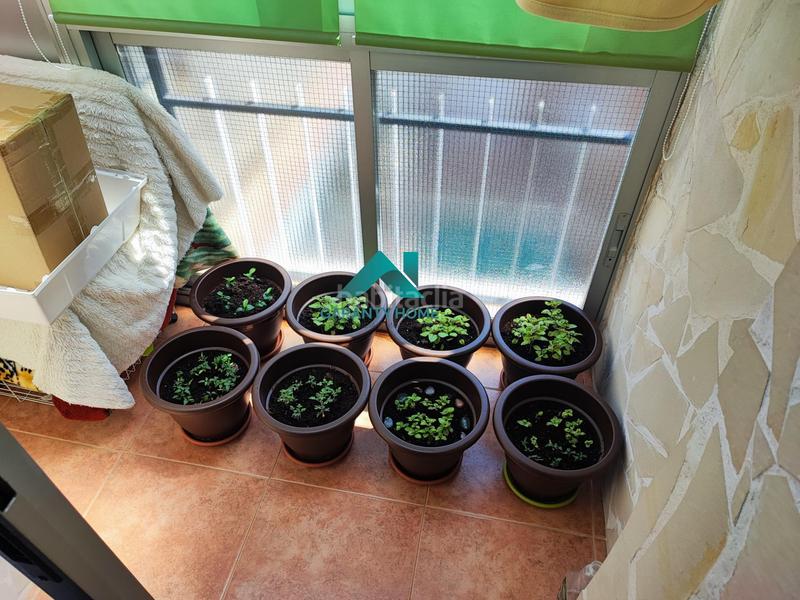 Foto e2f36e21-f970-4764-ba5b-b606b5e0b6d3. Attico in Estación-Parque O´Donnell Alcalá de Henares