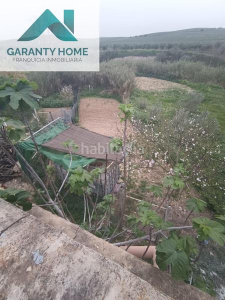 Foto afe5056b-e1c2-41cc-a070-06733b9e3582. Bauernhof in Navas del Selpillar Lucena