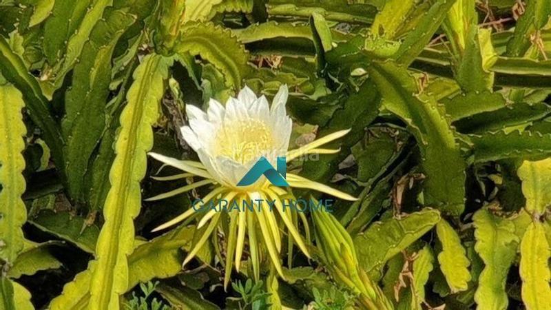 Foto ad6d527e-809f-4a02-b94c-2557f3b9df65. Chalet avec chauffage piscine dans Gilet