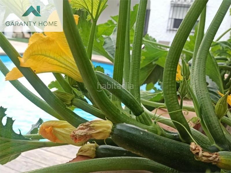 Foto 34dc6bc9-ca52-4aed-9732-160c503c592c. Chalet con parcheggio piscina in Solymar Benalmádena