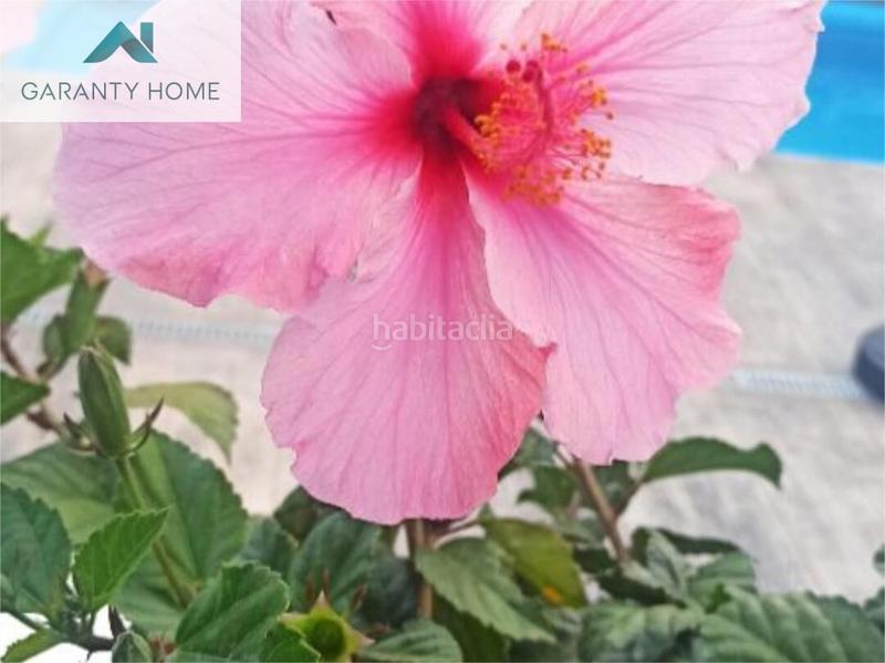 Foto f9d51227-4aba-4dab-84ca-92442098818a. Chalet con parcheggio piscina in Solymar Benalmádena