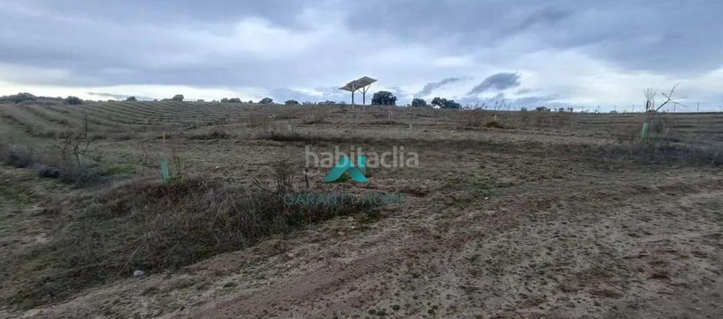 Foto ec267251-7c38-44f7-8f00-47c075369885. Finca rústica a Villamanta