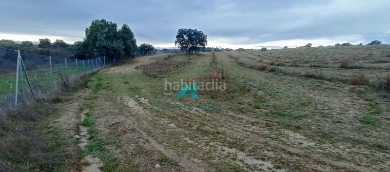 Foto f74163cd-c947-4db2-ba91-b410c6b2cc09. Finca rústica a Villamanta
