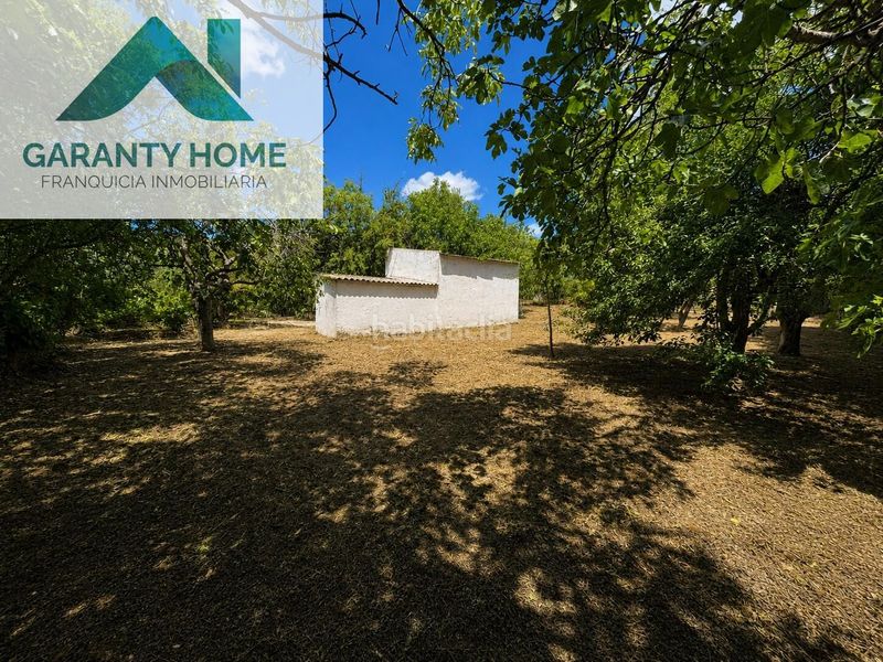 Foto ea821091-dc00-4399-8d37-10904e42985a. Casa amb piscina a Martos