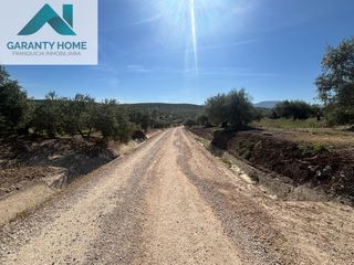 Landgut in Torredonjimeno. Olivar en torredonjimeno con buen acceso y rendimiento