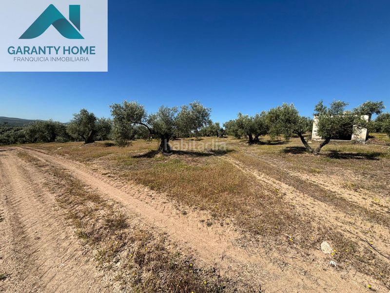 Foto 5083b358-7cfa-4604-a128-e9867632e645. Finca rústica a Torredonjimeno