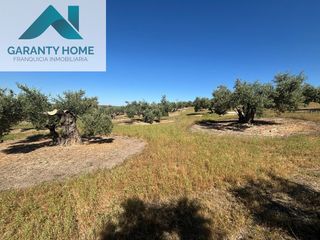 Landgut in Torredonjimeno. Olivar en torredonjimeno con buen acceso junto a la vía verde