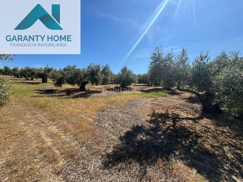 Foto d09ba401-ac8b-470c-996d-9f0aada91357. Finca rústica a Torredonjimeno