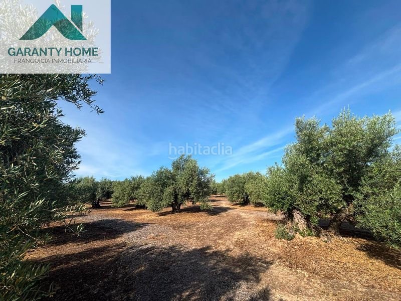 Foto df8ee586-5605-49ed-95ed-99650515c1f1. Finca rústica a Torredonjimeno