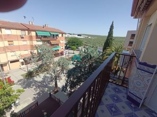 Pis a Torredonjimeno