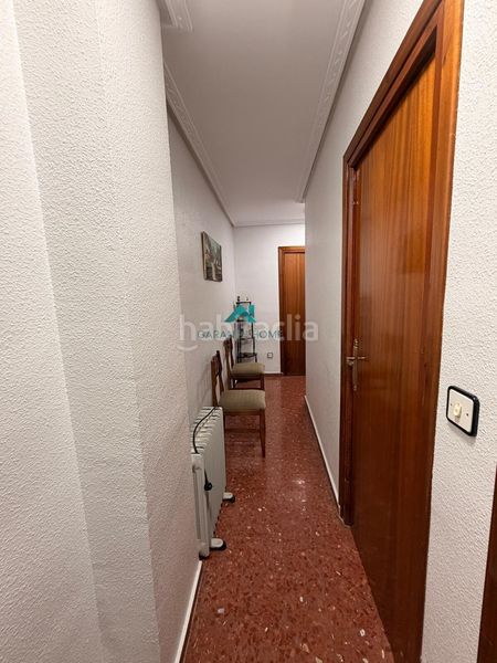 Foto 16fffb10-4166-49be-9ebd-e130ce98673d. Pis a Martos