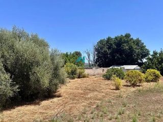 Terreny residencial a Algímia de Alfara