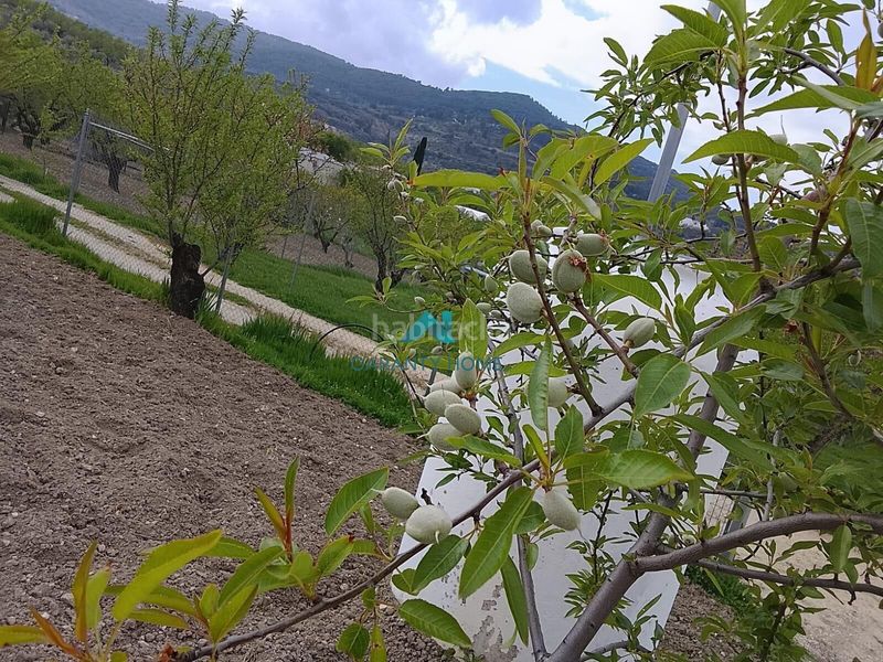 Foto 6036abab-1269-467b-a436-d5866d8a6c81. Terreny residencial a Torredelcampo