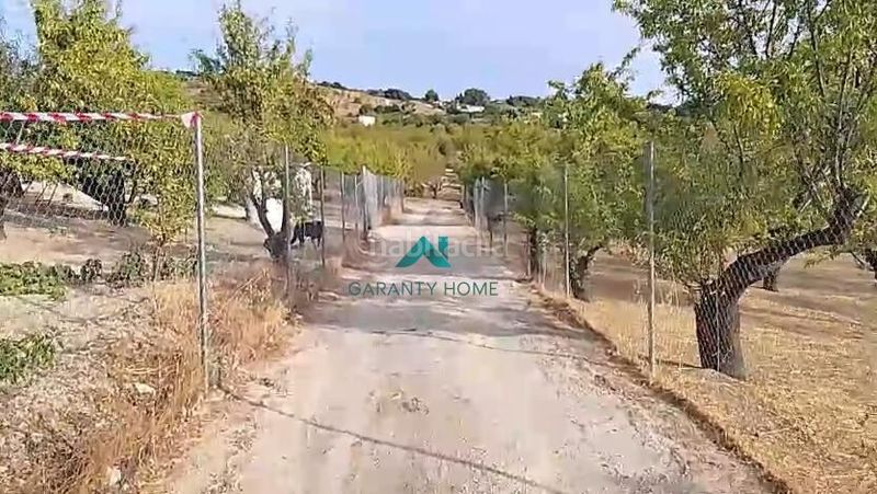 Foto f4f8a3ab-9eb0-444e-8b21-8a558ba647ca. Terreny residencial a Torredelcampo
