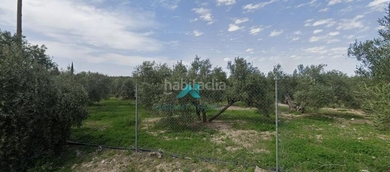 Foto cedf174b-24c6-4c8d-bbc6-6c834732488e. Finca rústica a Valdeastillas - Fuentezuelas Jaén