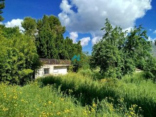 Mas à Villares (Los). Finca urbana en los villares con terreno y pozo propio