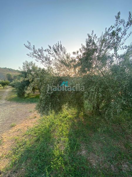 Foto 4b26072c-c67c-4b9f-8e91-5ff64ace251c. Casa amb piscina a Alcaudete