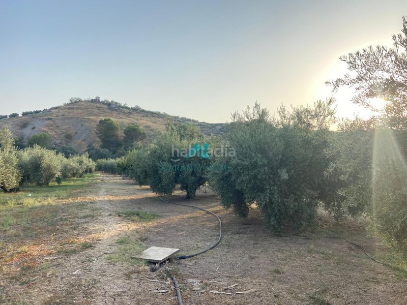 Foto d4a375ff-4a58-4c11-b6dd-e8b1abf89165. Casa amb piscina a Alcaudete
