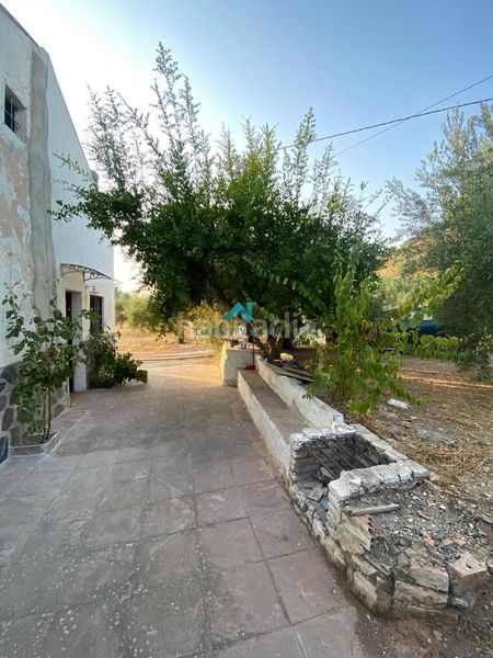 Foto dd50088b-1456-4ece-8b82-ae7ede23f833. Casa amb piscina a Alcaudete