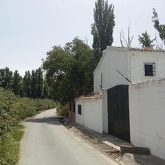 Casa a Priego de Córdoba. Finca rústica con encanto, piscina y explotación agrícola en el