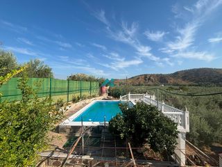 Casa a Alcaudete. Casa de campo en alcaudete con piscina, olivos y amplio terreno