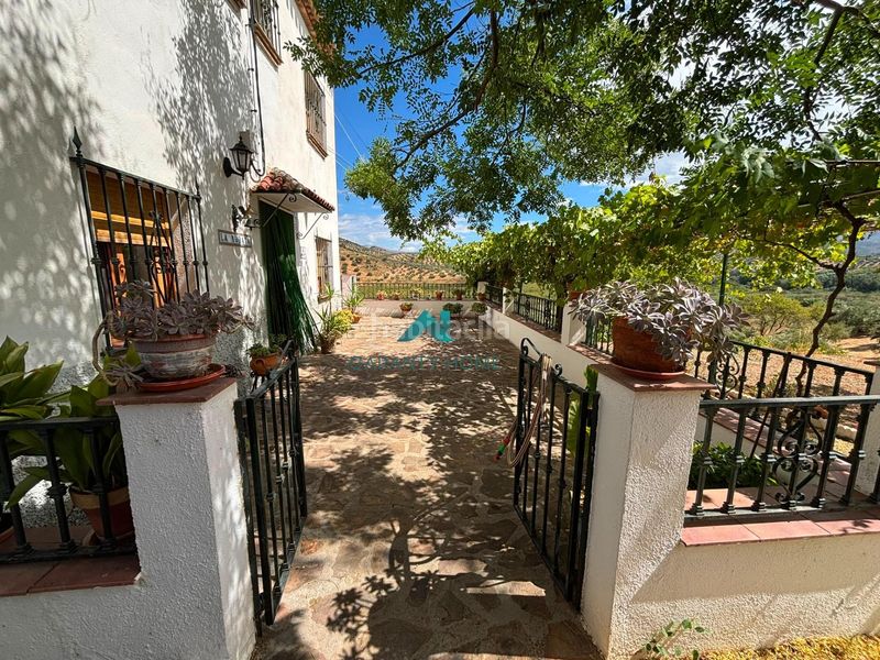 Foto 2663cd67-6792-48b1-8748-985ca64fc69c. Casa amb aparcament a Martos