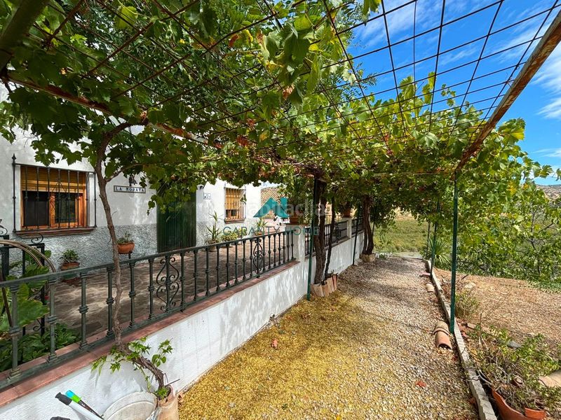 Foto 5350547a-c4f9-417b-8409-7008e7250cd3. Casa amb aparcament a Martos