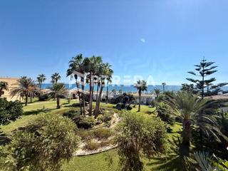 Estudi  Avenida gaviotas de las(u). Estudio , complejo club tropicana, 1 linea de playa Estudi  Avenida gaviotas de las(u). Estudio , complejo club tropicana, 1 linea de playa