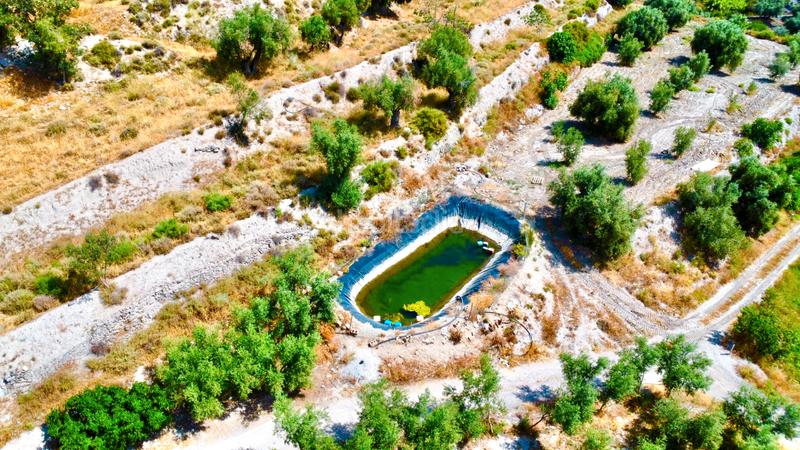 Foto 0beca7cb-ea82-45e1-99f9-549665c9e1b9. Masía finca con cortijo en carchelinas, mairena, en Nevada
