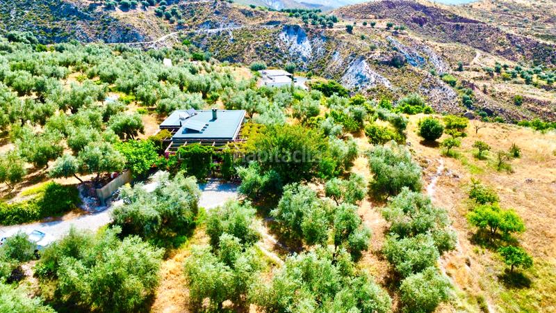 Foto 3bf3fad8-c6df-4b8c-980f-8ffb671da7fe. Masía finca con cortijo en carchelinas, mairena, en Nevada