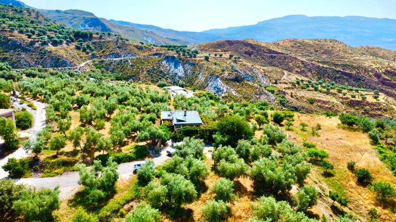 Foto 5259bb4a-1add-4a5c-a6e1-34bd37989c2a. Masía finca con cortijo en carchelinas, mairena, en Nevada