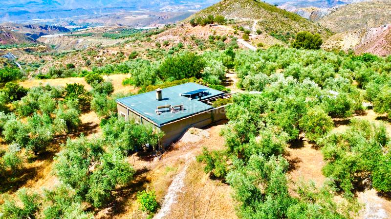 Foto 9487119b-5893-4913-82f0-ac4d2ac59215. Masía finca con cortijo en carchelinas, mairena, en Nevada