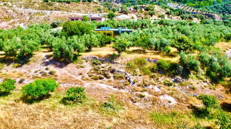 Foto 9a0e76c0-8ce4-42a1-86f3-2f5c36d2454e. Masía finca con cortijo en carchelinas, mairena, en Nevada