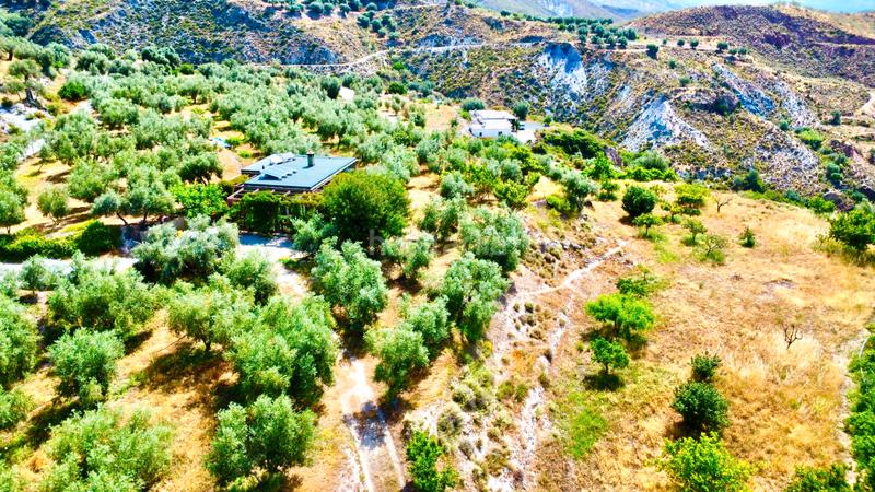 Foto e220c10c-09db-4601-8608-d66e0456866a. Masía finca con cortijo en carchelinas, mairena, en Nevada