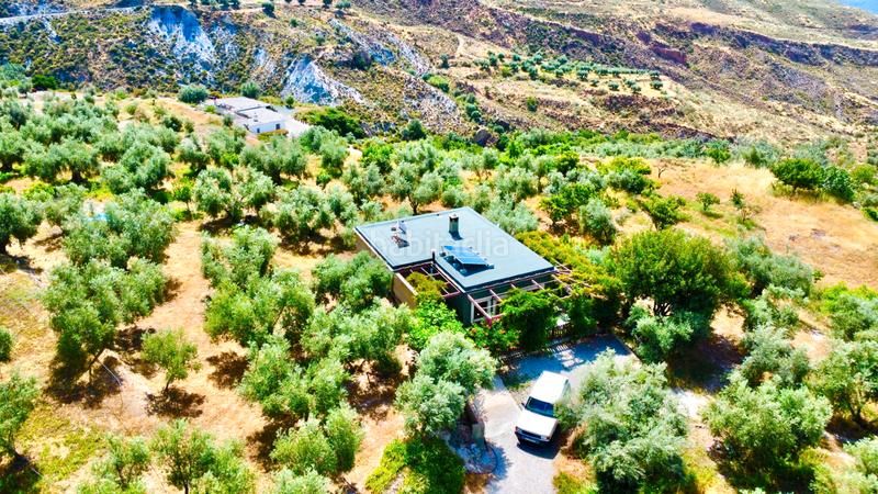 Foto e84d2bdc-7526-4ac3-ae5d-1152fe4f4de5. Masía finca con cortijo en carchelinas, mairena, en Nevada
