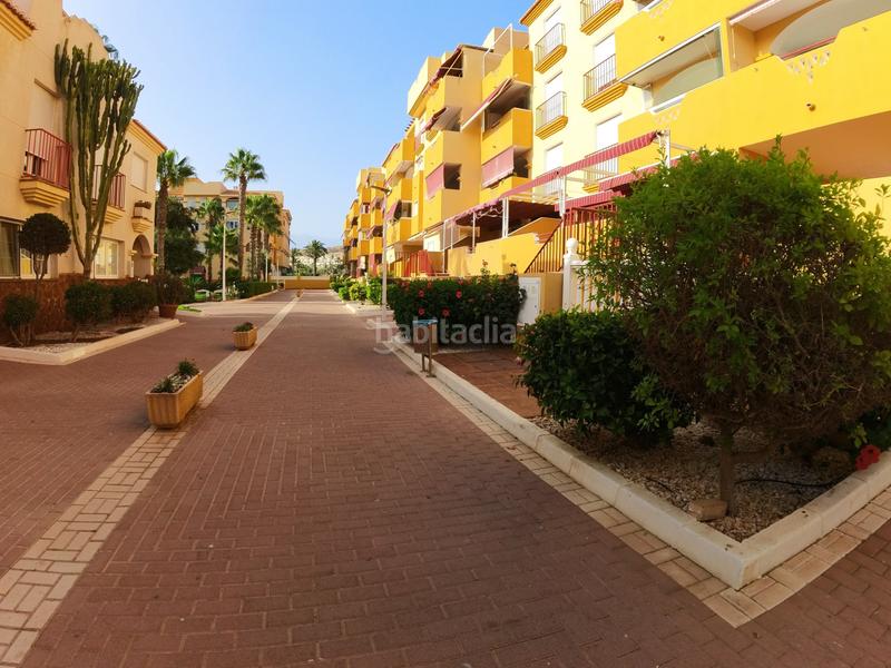 Foto 4342bb98-0a37-4dcd-b4a7-77e0125d13aa. Planta baixa a avenida Almerimar 224 a Almerimar Ejido (El)