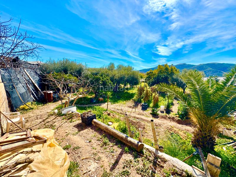 Foto c6ce43c3-3c98-4af8-9eda-08471adda6f2. Chalet vivienda con huerto en Dalías