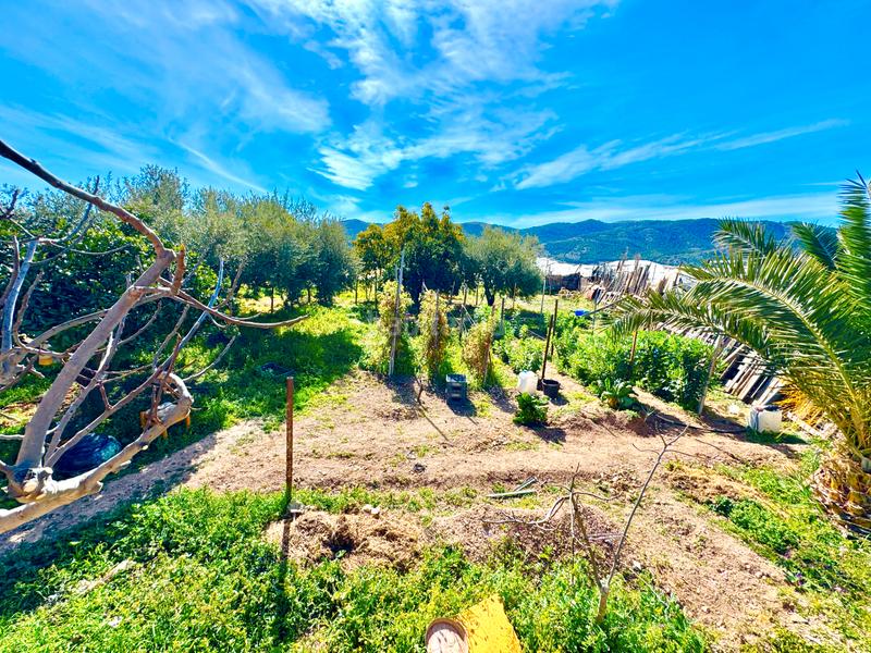 Foto dd10c5b9-6f3a-4ac5-815f-4bf60cabc736. Chalet vivienda con huerto en Dalías