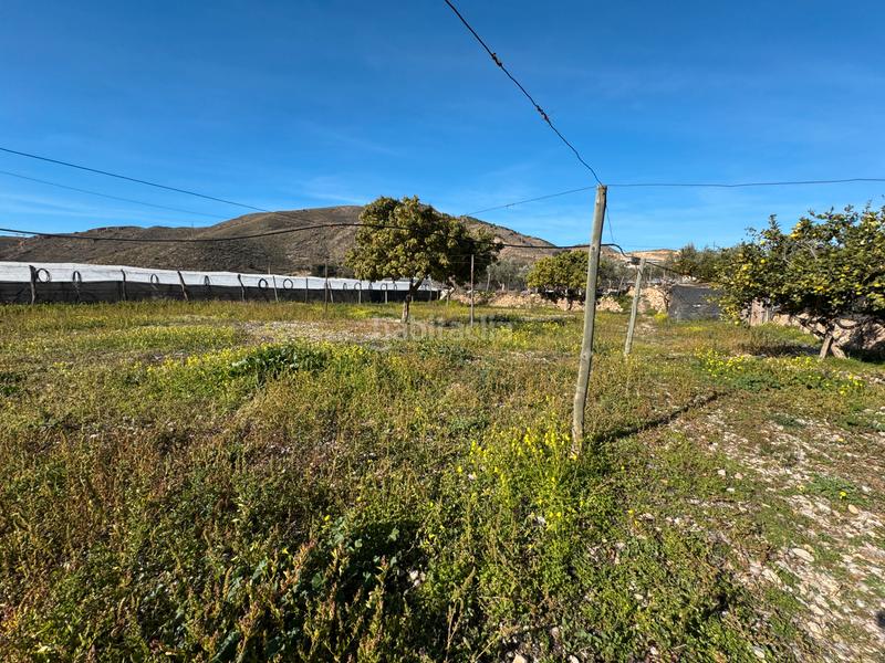 Foto b70d0303-199c-4776-9338-3a85318120a9. Fondo rustico in al-3303 40 in Dalías