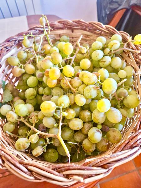 Foto 043930a6-7480-4113-9886-b08b89b05e7d. Xalet amb xemeneia calefacció aparcament piscina a Bérchules