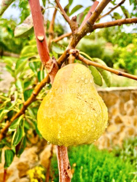 Foto 0fa4cad2-0153-46c8-b183-f17ffbfe033a. Xalet amb xemeneia calefacció aparcament piscina a Bérchules