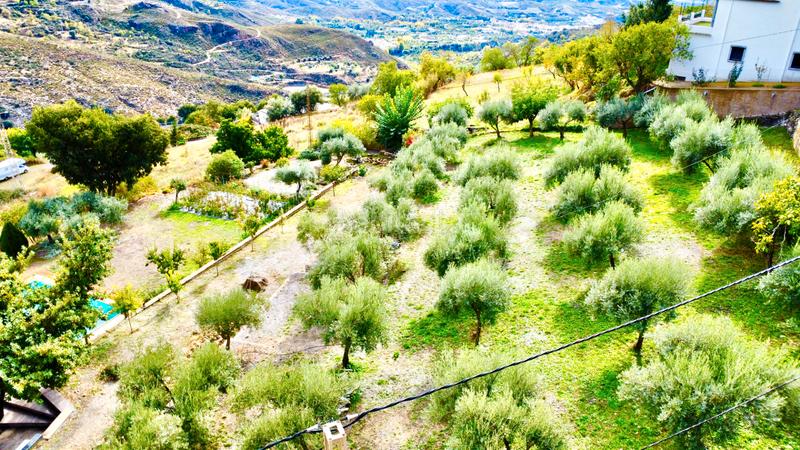 Foto 16d4c443-1593-4f70-a1cd-cc3bffb086d4. Xalet amb xemeneia calefacció aparcament piscina a Bérchules