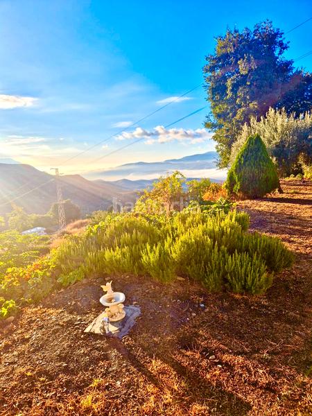 Foto 245662d2-a8b1-4cd0-b6fd-008ee522fd16. Xalet amb xemeneia calefacció aparcament piscina a Bérchules