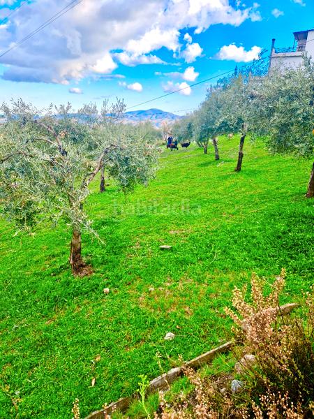 Foto 5678b70d-4568-435b-89fc-f5b7f46a78ee. Xalet amb xemeneia calefacció aparcament piscina a Bérchules