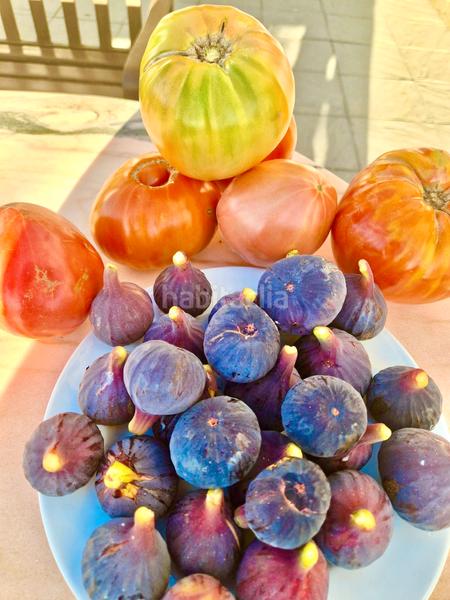 Foto 5a39f53c-f8e4-45f3-be30-65eca85b9cb1. Xalet amb xemeneia calefacció aparcament piscina a Bérchules