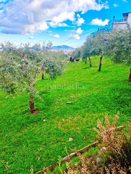 Foto 77c38469-2f0c-4b0e-8d74-08ec52da9488. Xalet amb xemeneia calefacció aparcament piscina a Bérchules