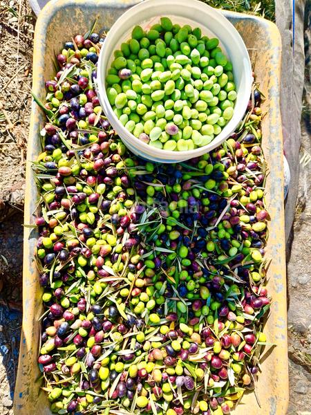 Foto d37f1d31-420e-4196-94af-b8ca6f03aca2. Xalet amb xemeneia calefacció aparcament piscina a Bérchules