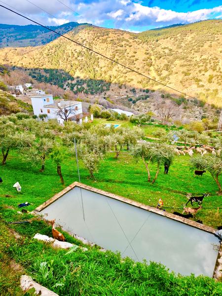 Foto d50c6be7-7435-483d-9968-4723bb325375. Xalet amb xemeneia calefacció aparcament piscina a Bérchules