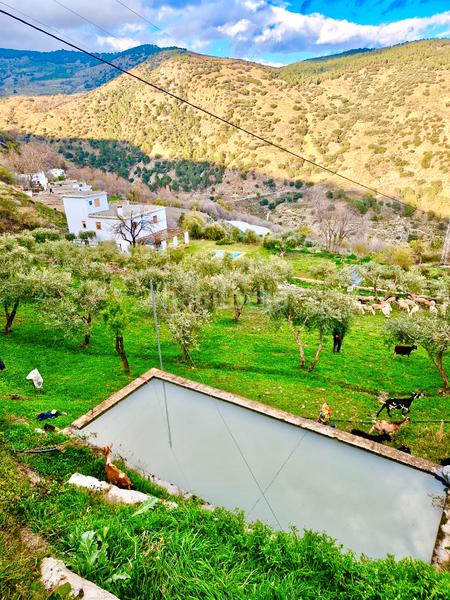 Foto f034e199-73a5-42ea-b728-14151692abab. Xalet amb xemeneia calefacció aparcament piscina a Bérchules